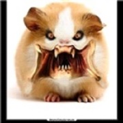 Mushmont57