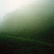 ThySire