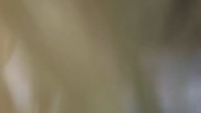 MollySally is live now